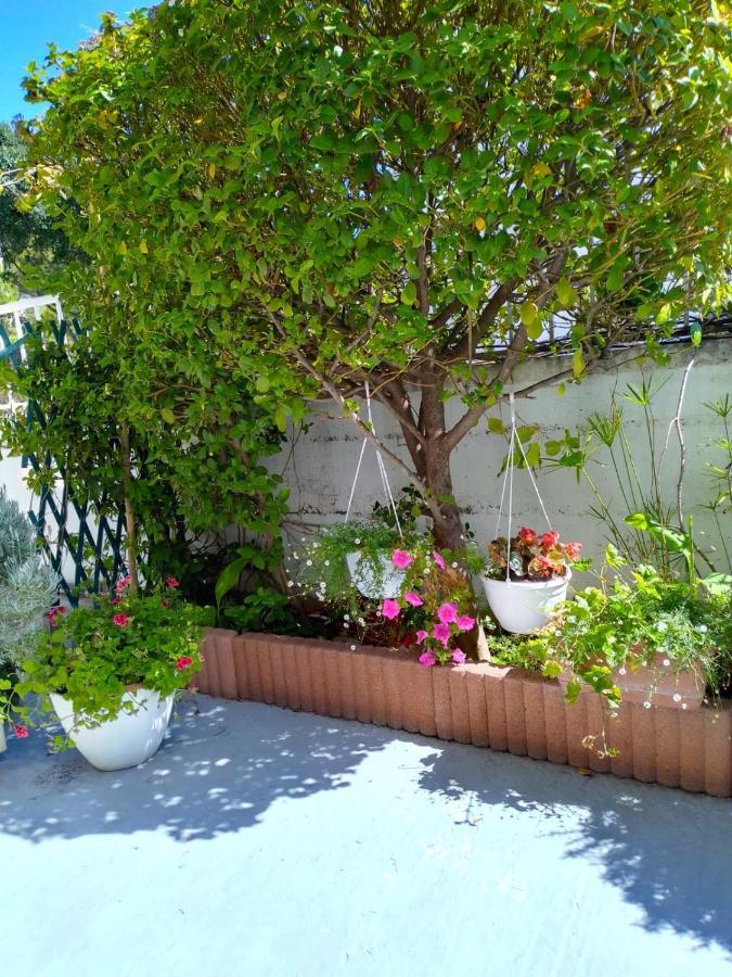 Lusea Apartments Split Dış mekan fotoğraf